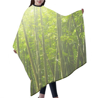 Personality  Bamboo Hair Cutting Cape