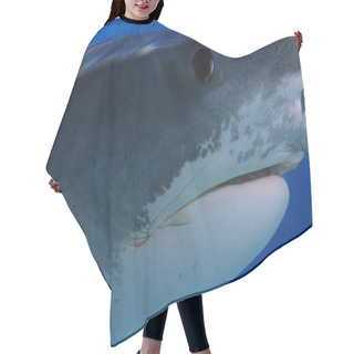 Personality  Tiger Shark Hair Cutting Cape