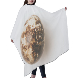 Personality  Quail Egg Laying On White Background Hair Cutting Cape