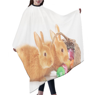 Personality  Rabbits With Easter Eggs On White Background Hair Cutting Cape