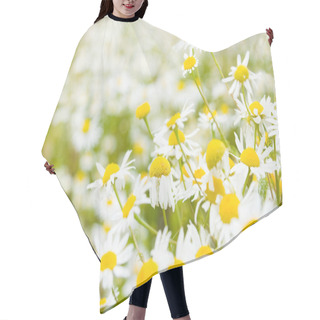 Personality  Bright Daisy Field In Spring Hair Cutting Cape