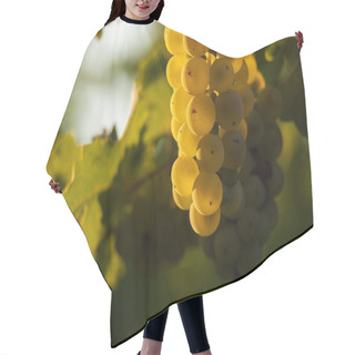 Personality  Vineyard Hair Cutting Cape