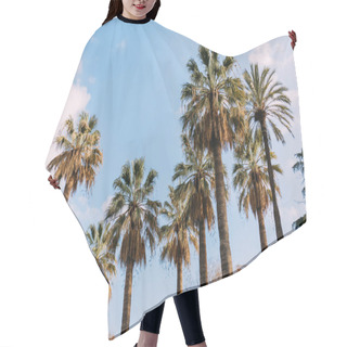 Personality  Tall Straight Palm Trees On Blue Sky Background, Barcelona, Spain Hair Cutting Cape