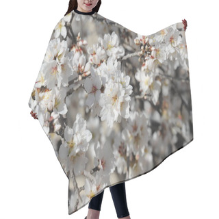 Personality  Almond Blossom In Spain Hair Cutting Cape