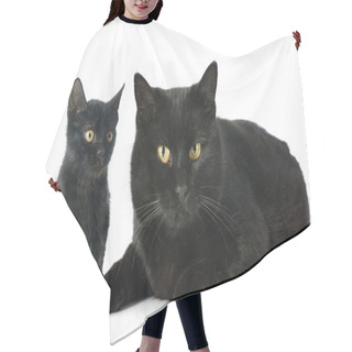 Personality  Black Cats Hair Cutting Cape