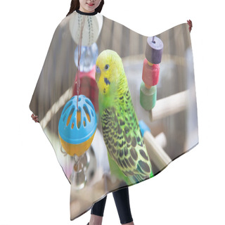 Personality  A Green Wavy Parrot Sits In A Cage. Green Parrot Pet. Budgerigar With Toys, Close-up. Hair Cutting Cape