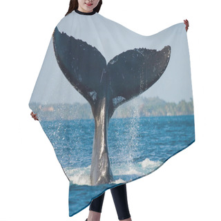 Personality  Humpback Whale Jumping Out Of The Water Hair Cutting Cape