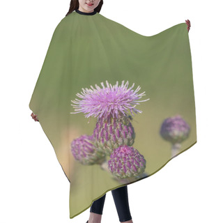 Personality  Blossom Of Purple Knapweed Wildflower Hair Cutting Cape
