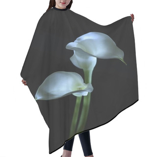 Personality  Beautiful Calla Lily Flower Isolated On Black  Hair Cutting Cape