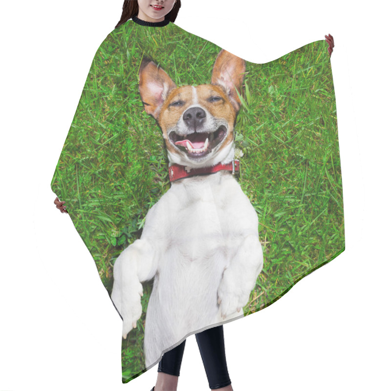 Personality  very funny dog hair cutting cape