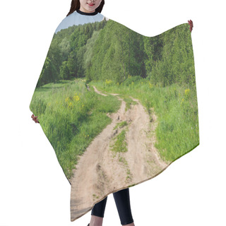 Personality  A Winding Rural Dirt Road Stretching Into The Distance Among A Beautiful Forest Area Hair Cutting Cape