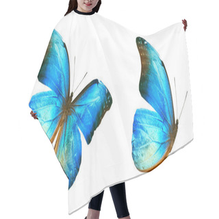 Personality  Color Butterflies , Isolated On White Background Hair Cutting Cape