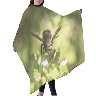 Personality  Hornet On A Flower Hair Cutting Cape