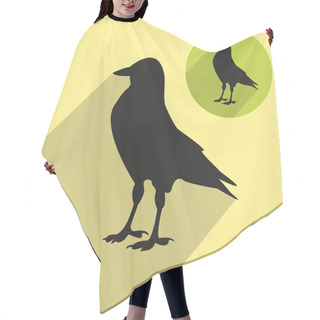 Personality  Jackdaw  Ilustration Hair Cutting Cape