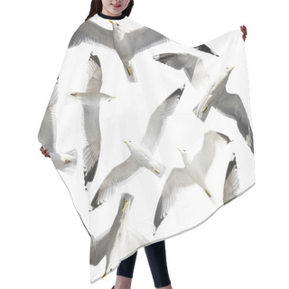 Personality  Isolated Seagulls Hair Cutting Cape