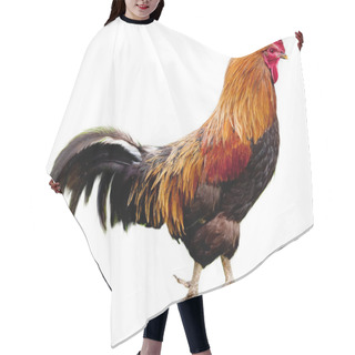 Personality  Rooster Isolated Hair Cutting Cape