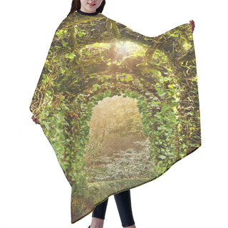 Personality  Archway Of Ivy Trellis In English Garden With Sun Rays Hair Cutting Cape
