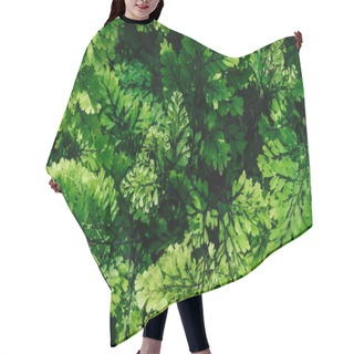 Personality  Background With Natural Green Leaves On Houseplant Hair Cutting Cape