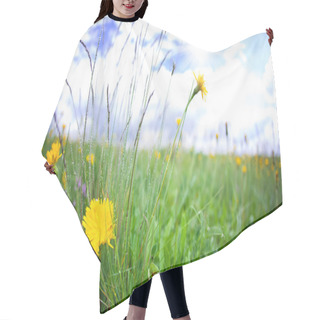 Personality  Wildflowers Hair Cutting Cape