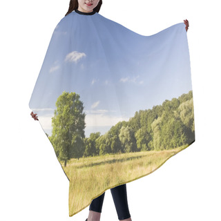 Personality  Lonely Tree On A Meadow Hair Cutting Cape