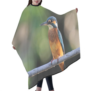Personality  Kingfisher Hair Cutting Cape