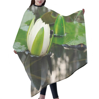 Personality  Wonderland - Blooming Water Lily Hair Cutting Cape