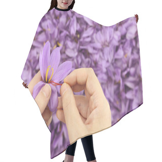 Personality  Womans Hands Separates Saffron Threads From The Rest Flower Hair Cutting Cape