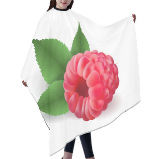 Personality  Vector Realistic Volumetric 3d Raspberry With Leaves Hair Cutting Cape