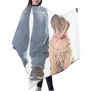 Personality  Dog Training Hair Cutting Cape