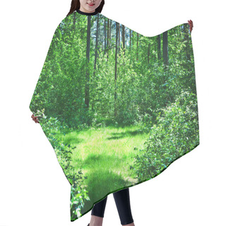 Personality  Green Glade In Summer Sunny Forest Hair Cutting Cape