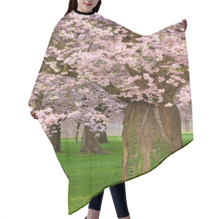 Personality  Gorgeous Cherry Trees Blossoming Hair Cutting Cape