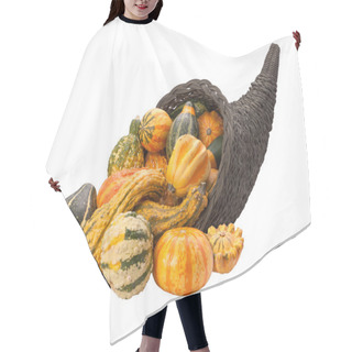 Personality  Cornucopia Gourds Isolated With Clipping Path Hair Cutting Cape