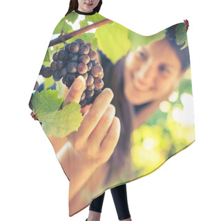 Personality  Grapes In A Vineyard Being Checked By A Female Vintner Hair Cutting Cape