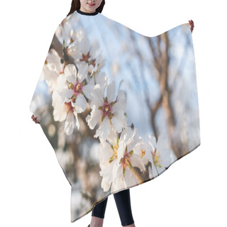 Personality  Almond Blossom Flowers On Tree Hair Cutting Cape