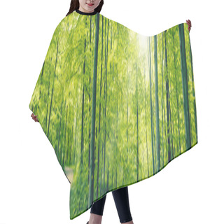 Personality  Green Forest Panorama Landscape Hair Cutting Cape