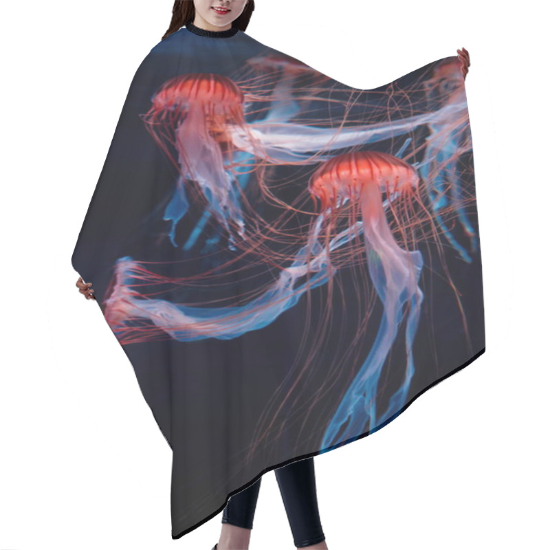 Personality  Jellyfish Swimming In The Deep Sea Hair Cutting Cape