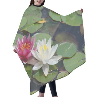 Personality  White And Pink Water Lilies 2 Hair Cutting Cape
