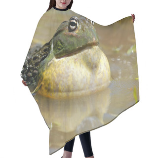Personality  African Giant Bullfrog Hair Cutting Cape