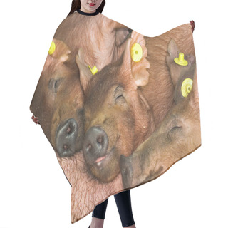Personality  Piglets Hair Cutting Cape