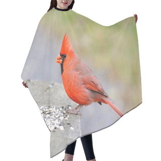 Personality  Male Cardinal Hair Cutting Cape