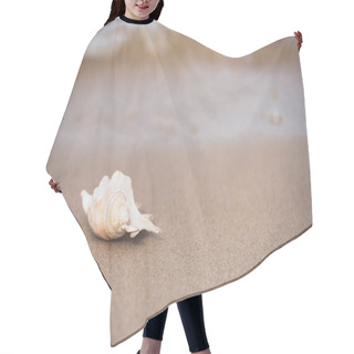 Personality  Seashell On Sandy Beach Hair Cutting Cape