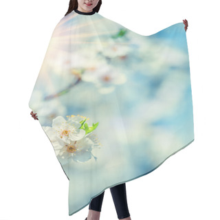 Personality  Blossoming Flovers Of Cherry Tree On Blurred Background Of Leave Hair Cutting Cape