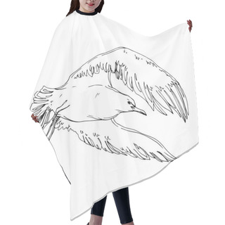 Personality  Vector Sky Bird Seagull In A Wildlife. Black And White Engraved Ink Art. Isolated Seagull Illustration Element. Hair Cutting Cape