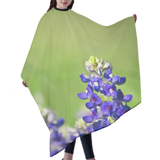 Personality  Texas Bluebonnets Hair Cutting Cape