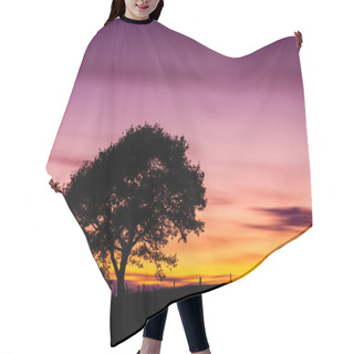 Personality  Oak Tree Silhouette Old Sunset Shadow Sky Clouds Eifel National Park Landscape Hair Cutting Cape