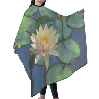 Personality  Waterlily 2 Hair Cutting Cape