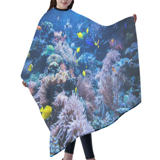 Personality  Tropical Fish On A Coral Reef. Colourfull Fishes In Dark Deep Blue Water  Hair Cutting Cape