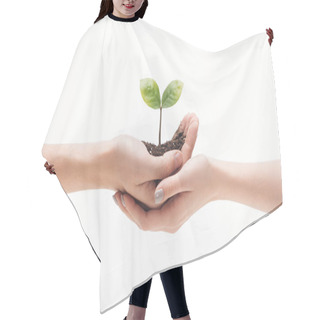 Personality  Cropped View Of Couple Holding Ground With Green Plant In Hands Isolated On White Hair Cutting Cape