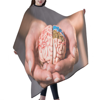Personality  Cropped Shot Of Woman Holding Brain Model In Hands  Hair Cutting Cape