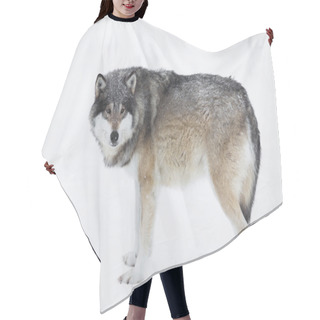 Personality  One Wolf In The Snow Hair Cutting Cape